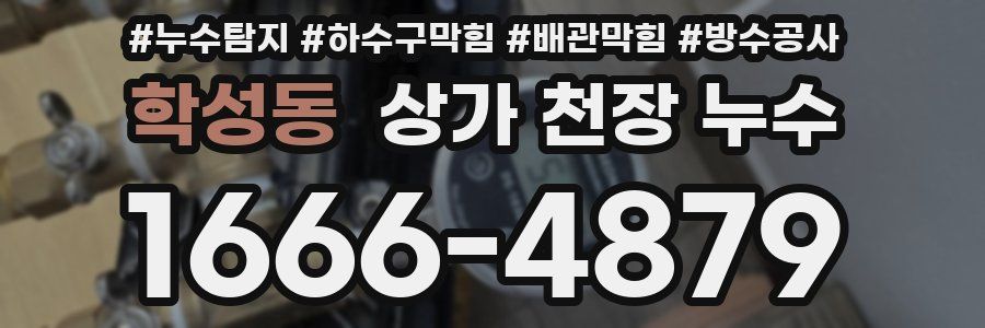 학성동 상가 천장 누수