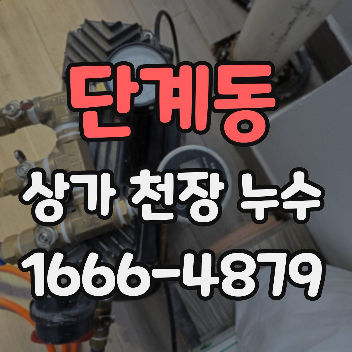 단계동 상가 천장 누수