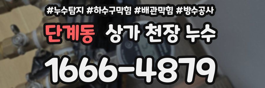 단계동 상가 천장 누수