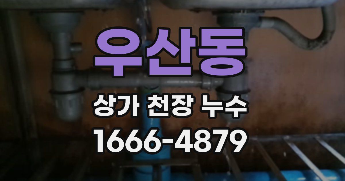 우산동 상가 천장 누수