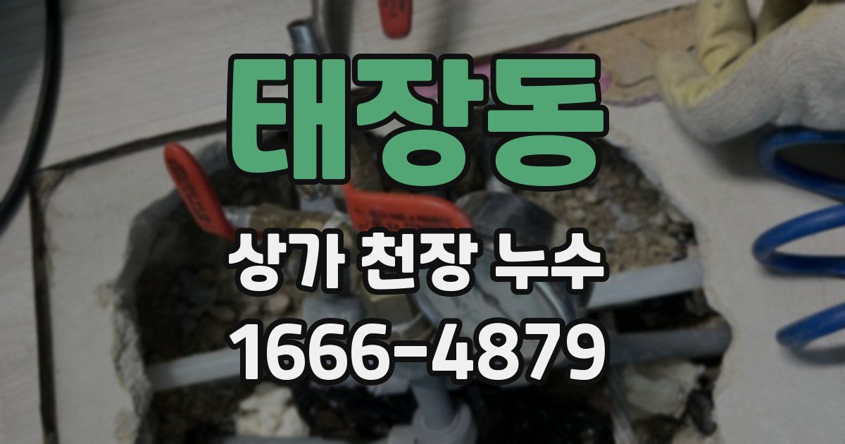 태장동 상가 천장 누수