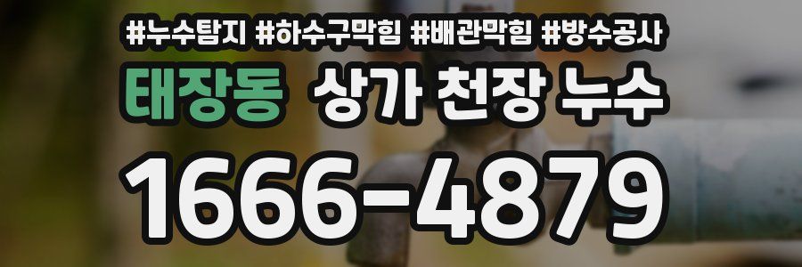 태장동 상가 천장 누수