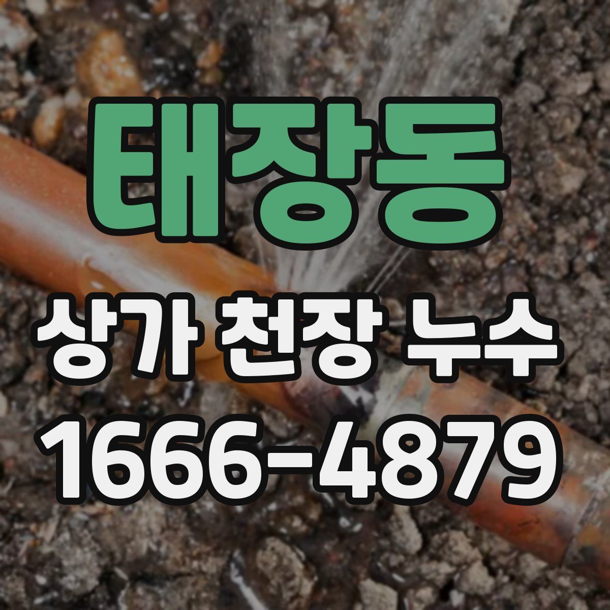 태장동 상가 천장 누수