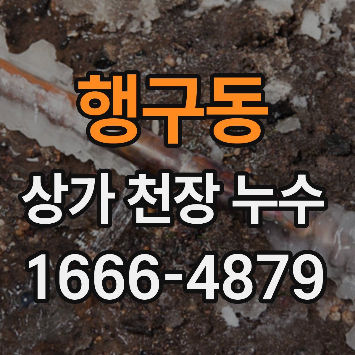 행구동 상가 천장 누수