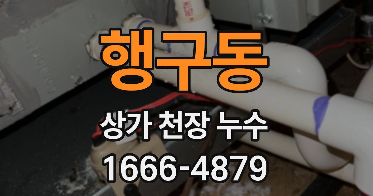 행구동 상가 천장 누수