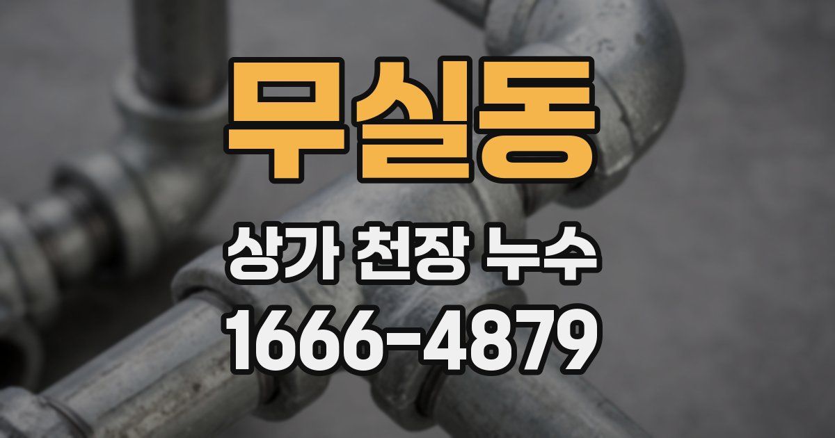 무실동 상가 천장 누수