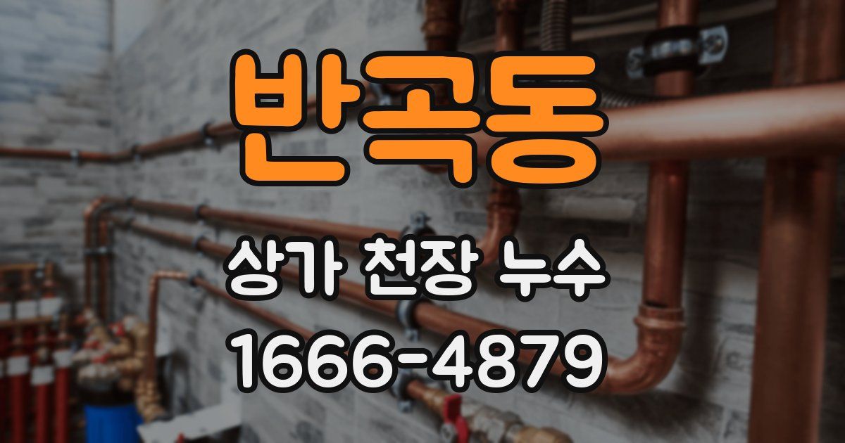 반곡동 상가 천장 누수
