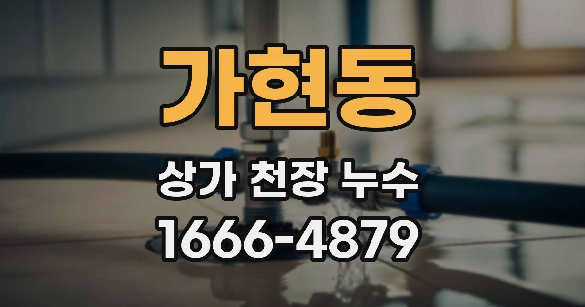 가현동 상가 천장 누수