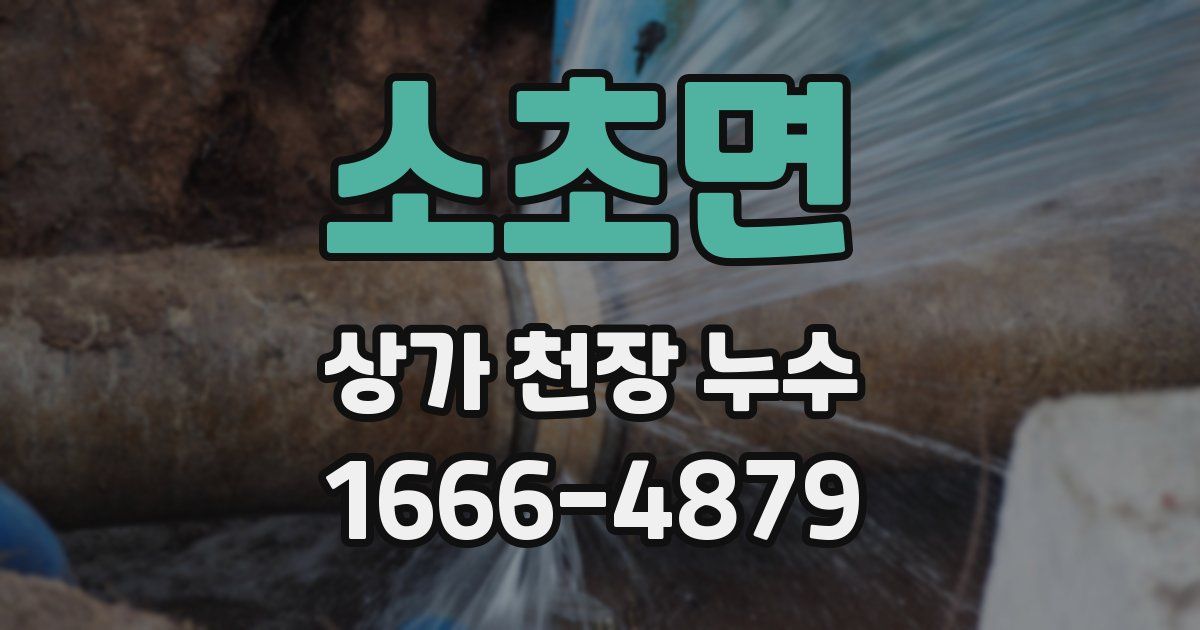 소초면 상가 천장 누수