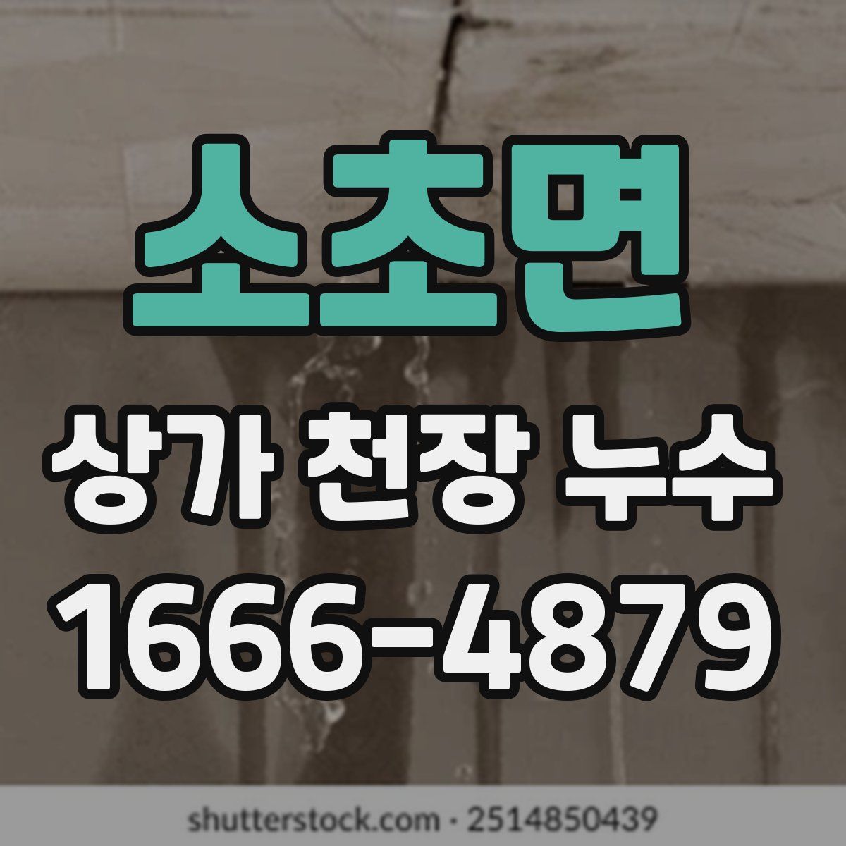 소초면 상가 천장 누수