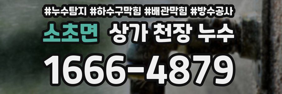 소초면 상가 천장 누수