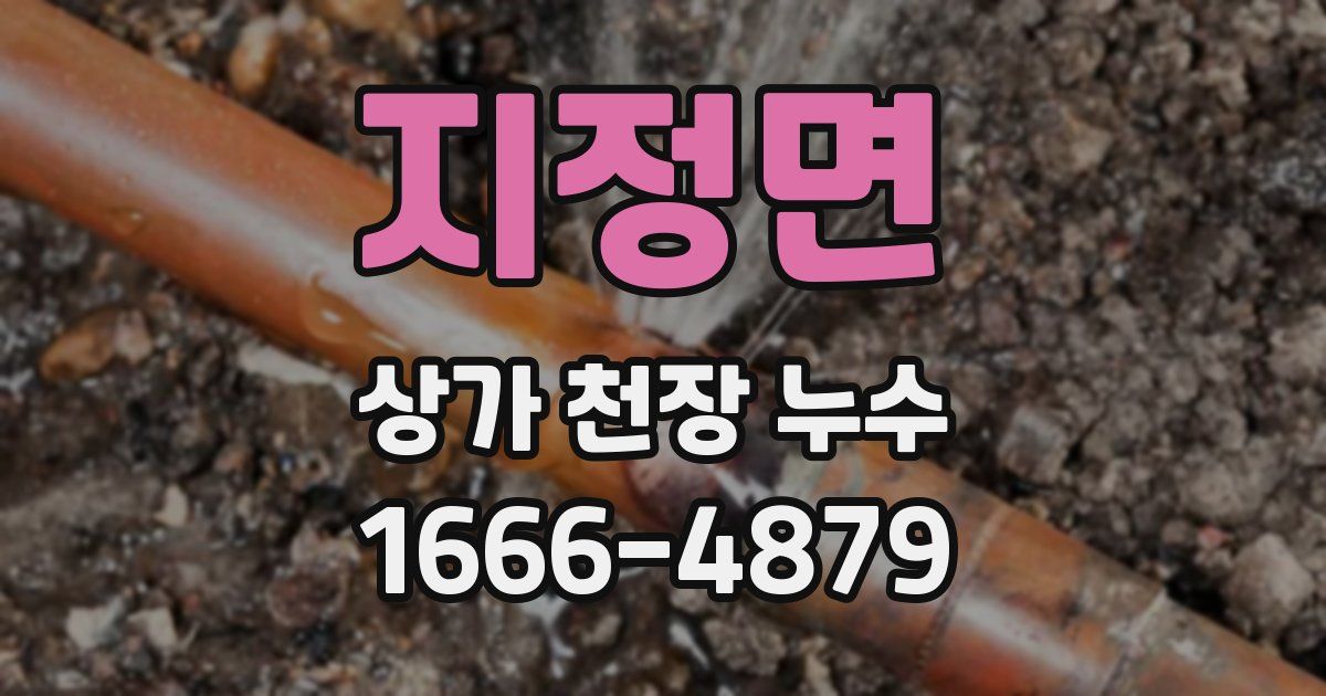 지정면 상가 천장 누수