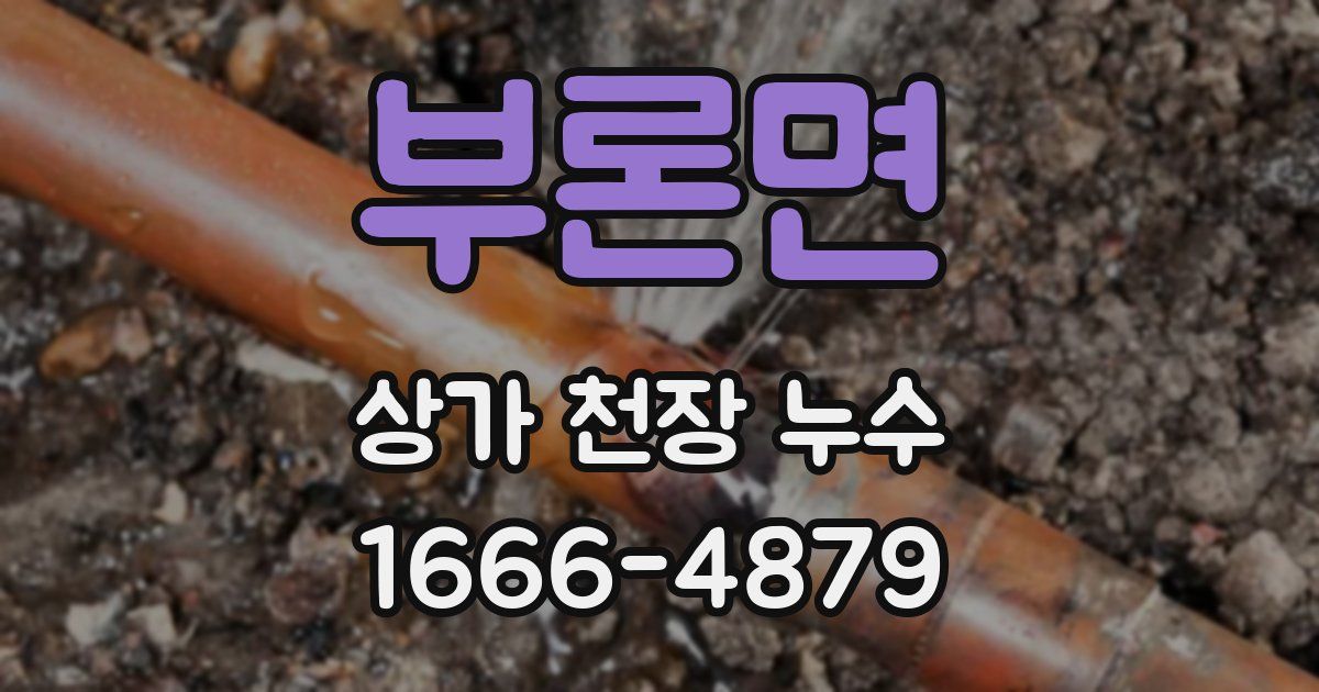 부론면 상가 천장 누수