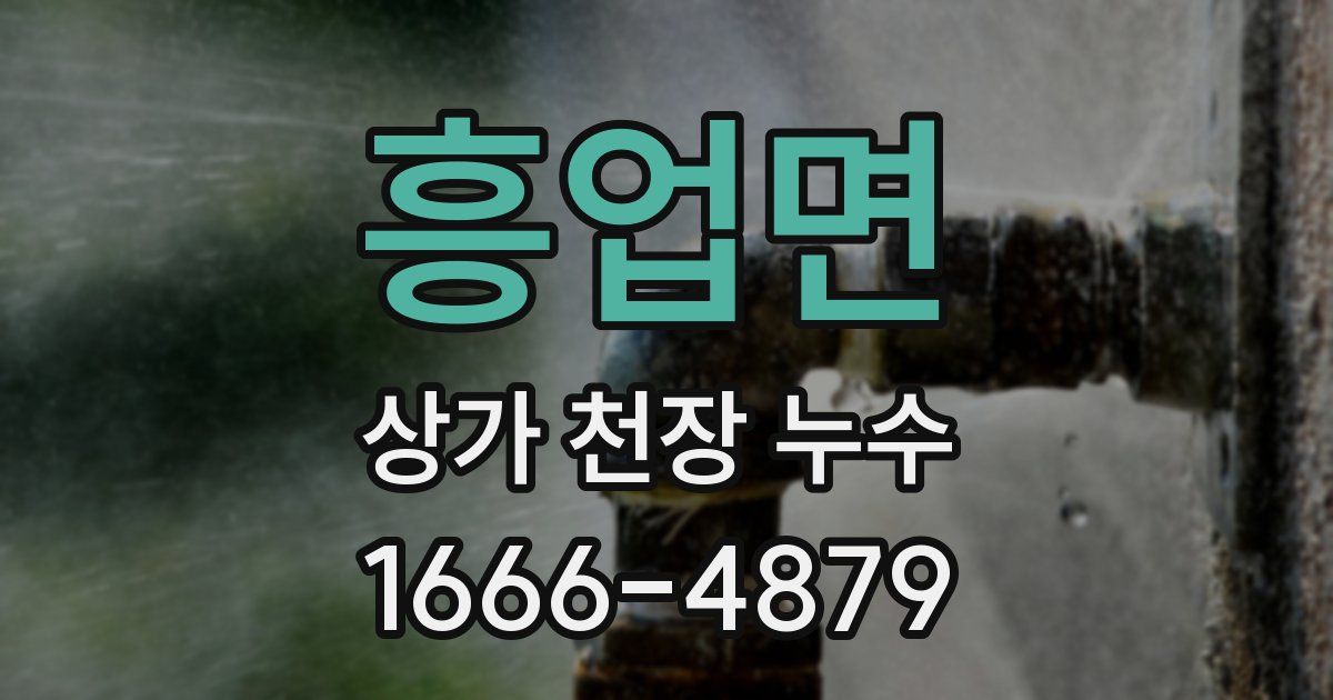 흥업면 상가 천장 누수