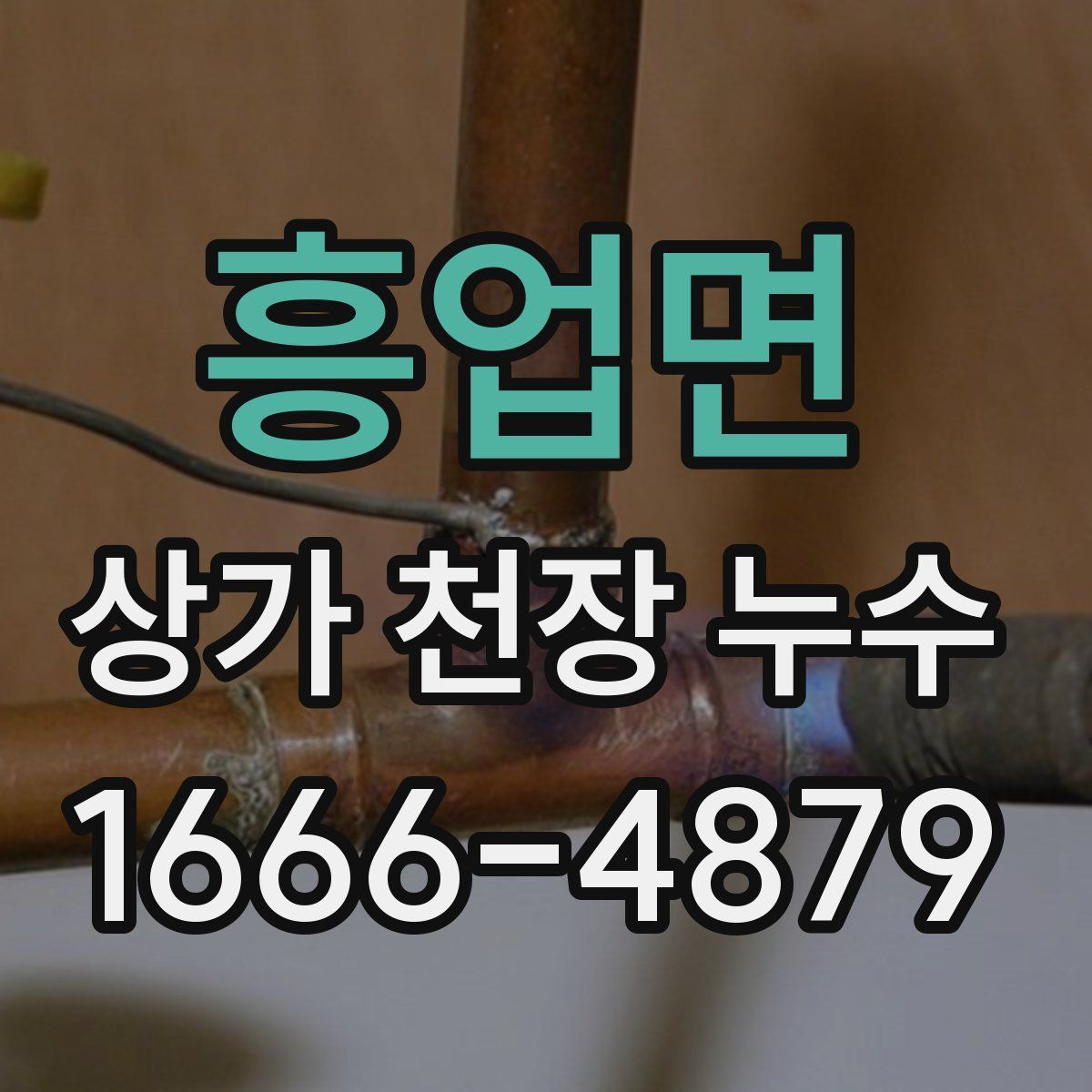 흥업면 상가 천장 누수