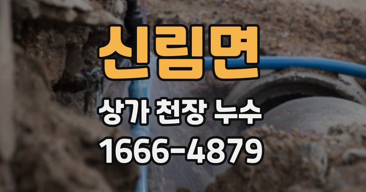 신림면 상가 천장 누수