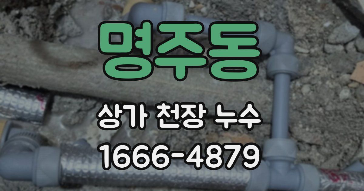명주동 상가 천장 누수