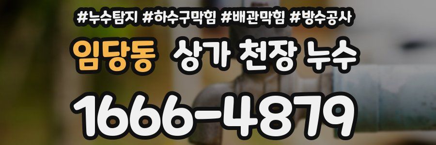 임당동 상가 천장 누수