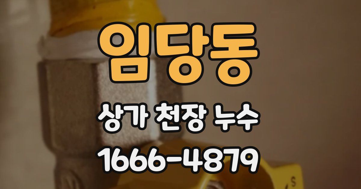임당동 상가 천장 누수