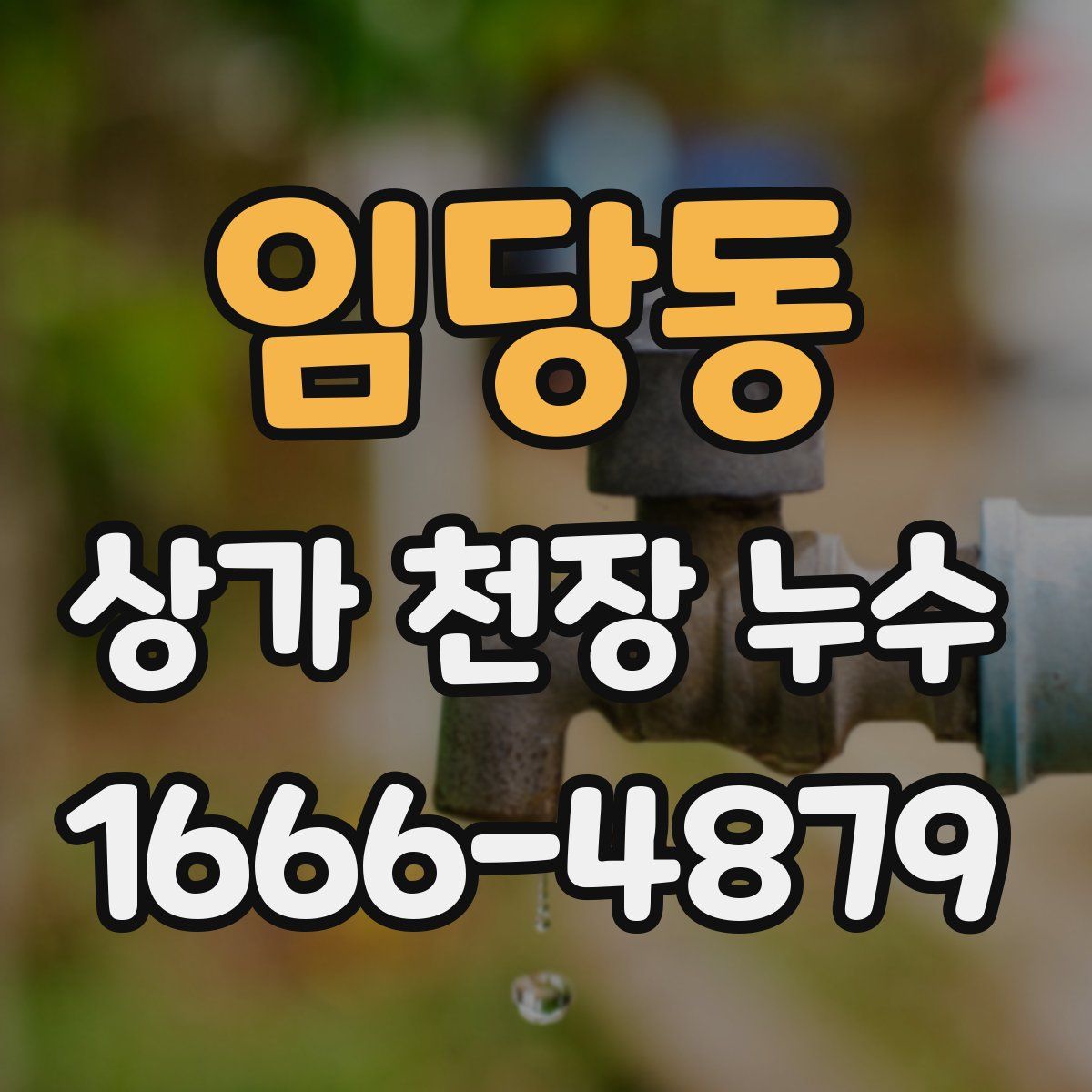 임당동 상가 천장 누수