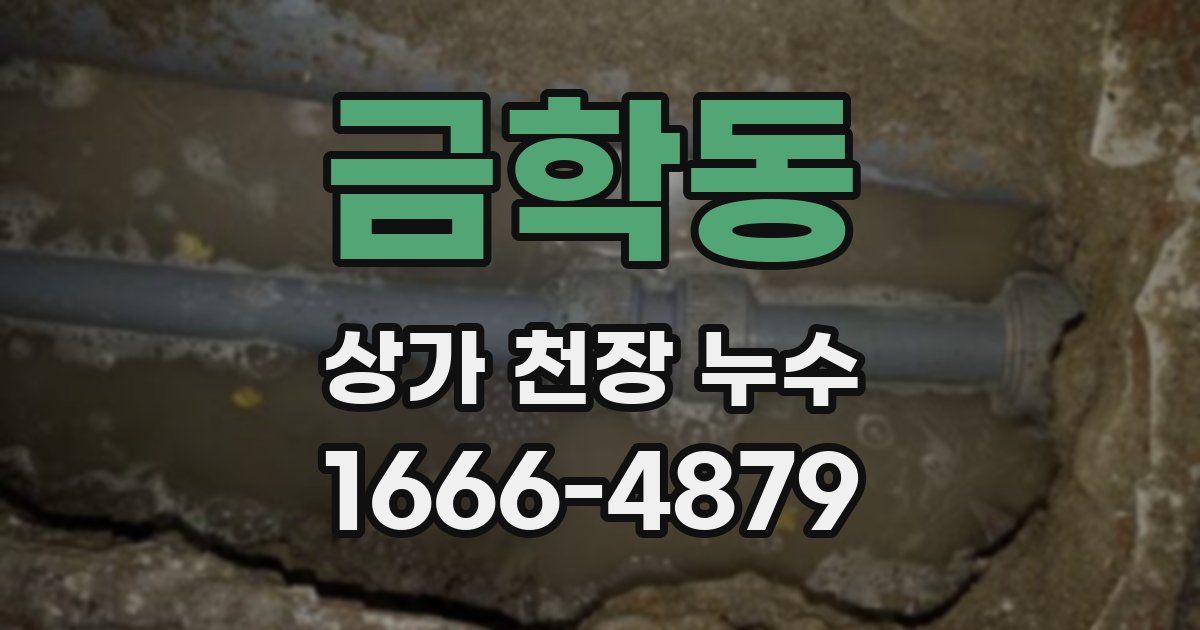 금학동 상가 천장 누수