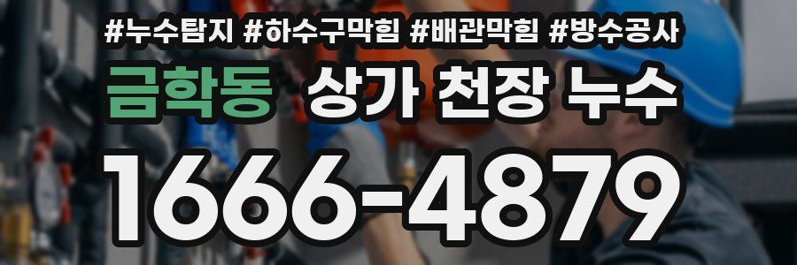 금학동 상가 천장 누수