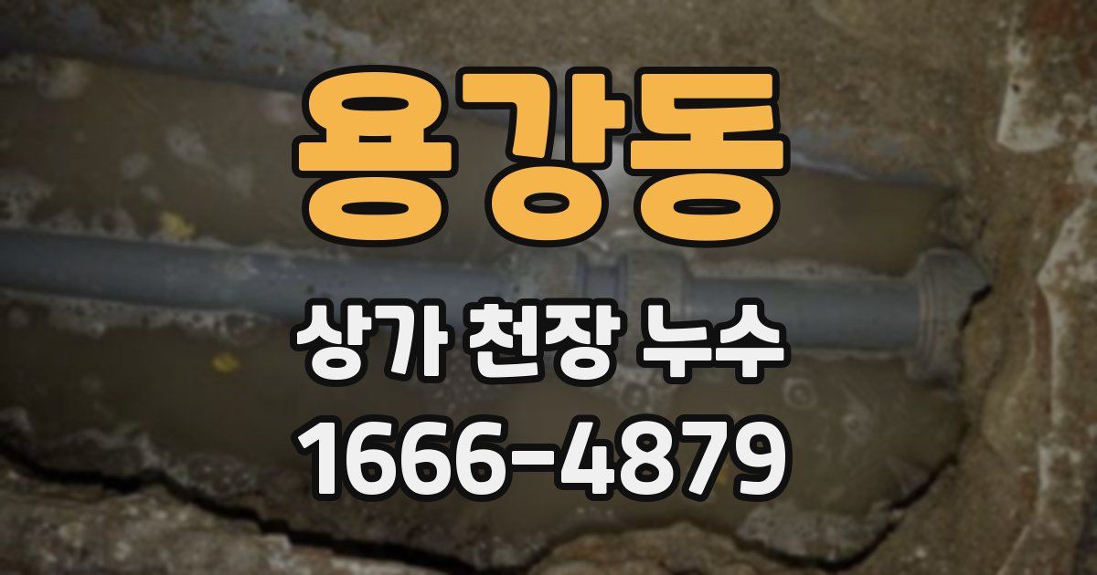 용강동 상가 천장 누수