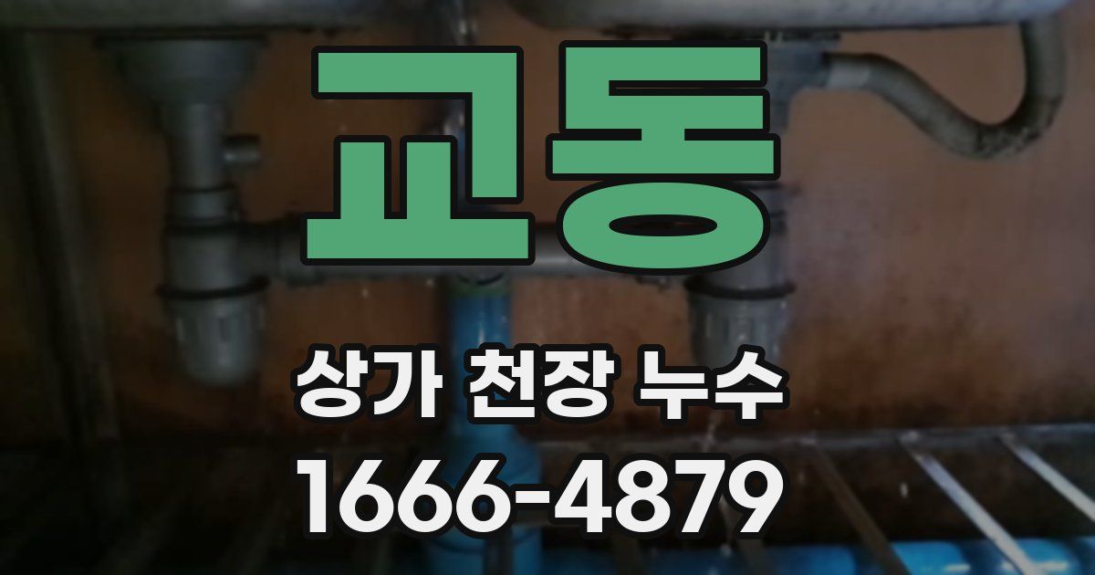교동 상가 천장 누수
