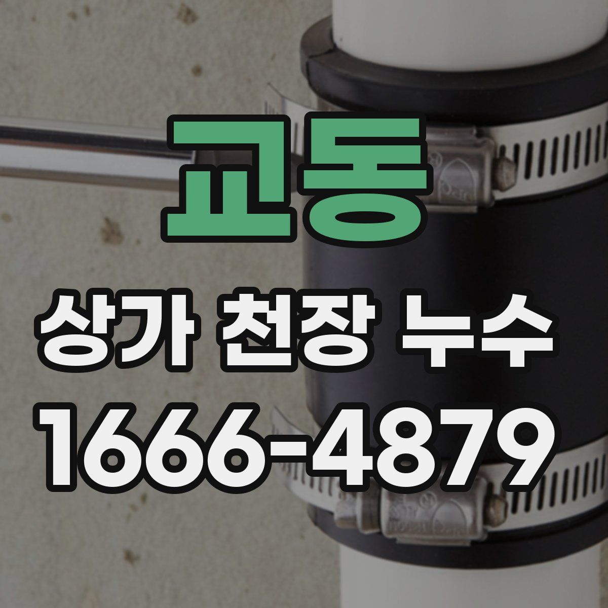 교동 상가 천장 누수