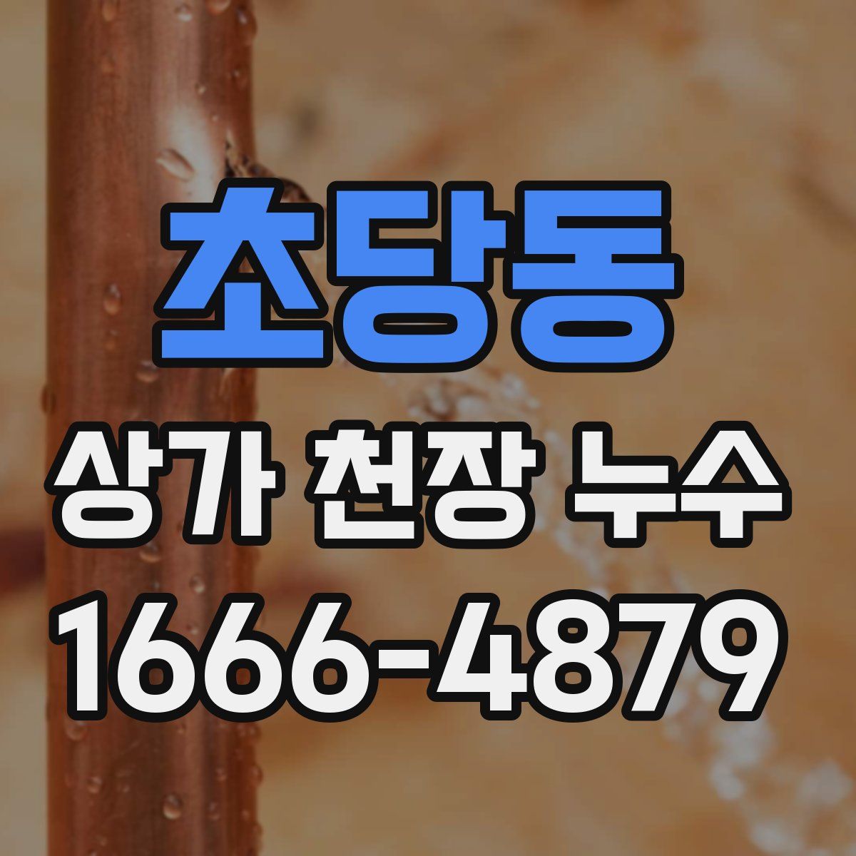 초당동 상가 천장 누수