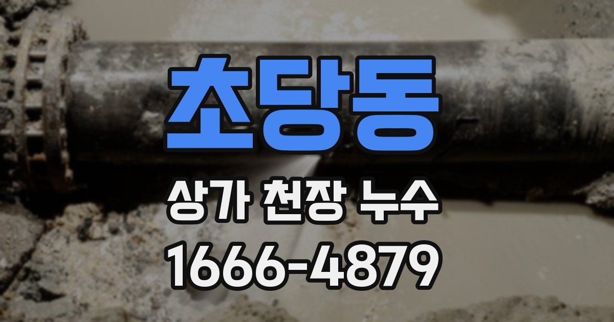 초당동 상가 천장 누수