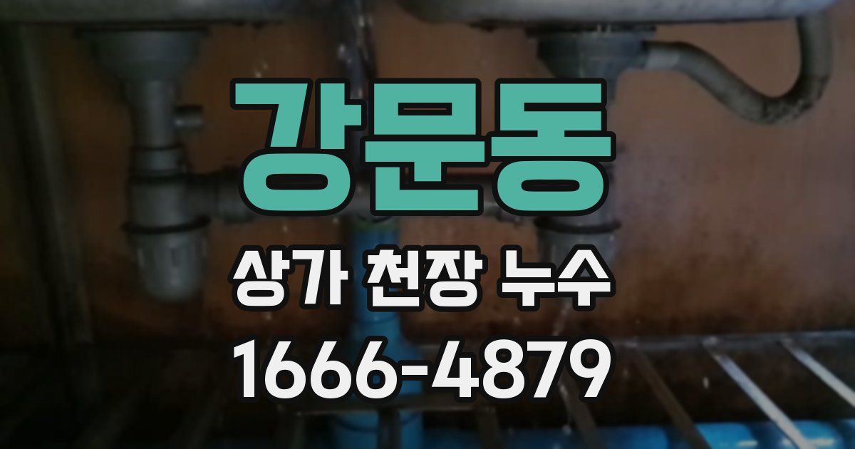 강문동 상가 천장 누수