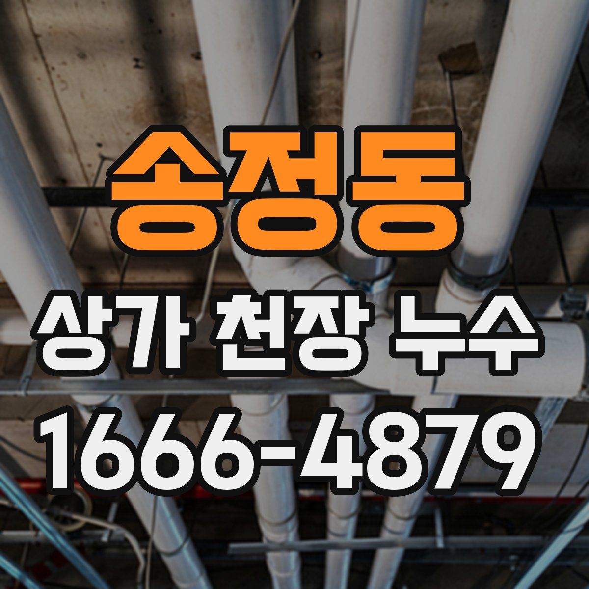 송정동 상가 천장 누수