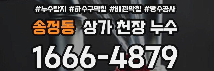 송정동 상가 천장 누수