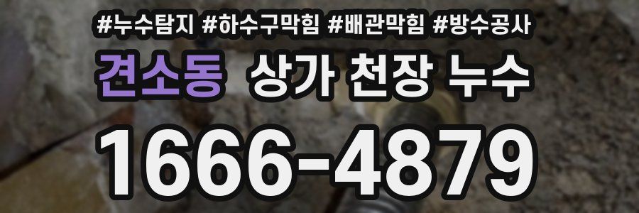 견소동 상가 천장 누수