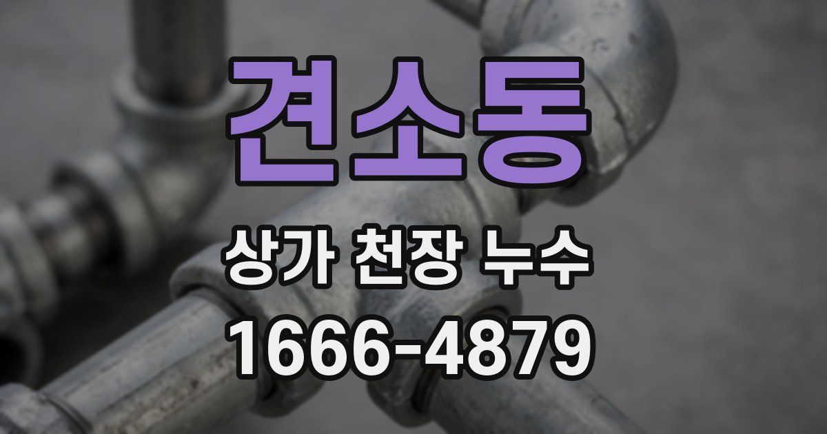 견소동 상가 천장 누수