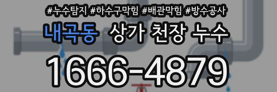 내곡동 상가 천장 누수