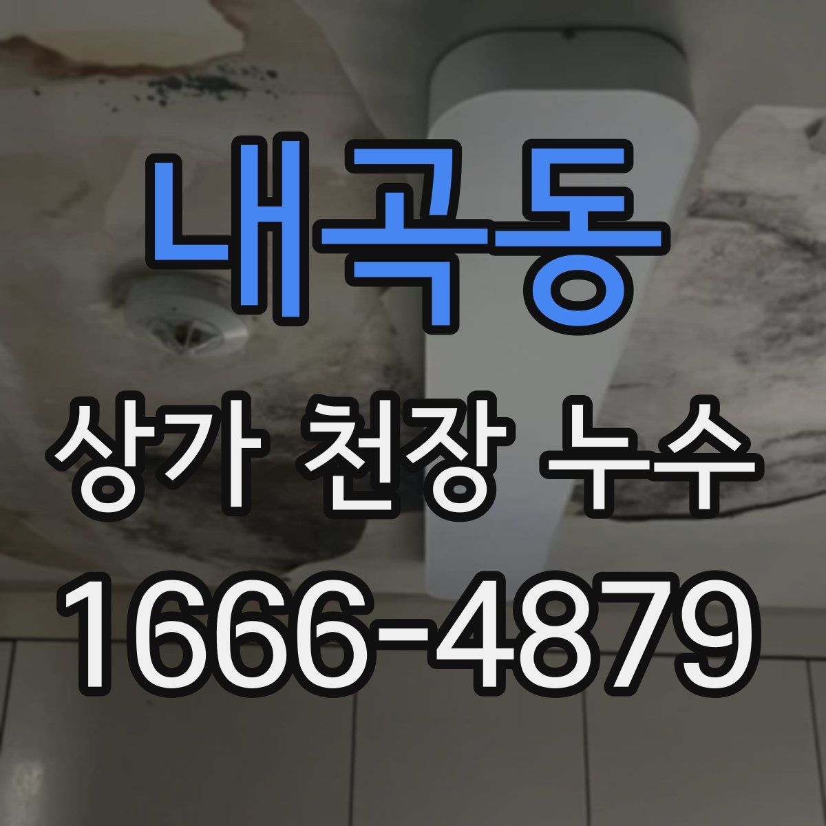 내곡동 상가 천장 누수