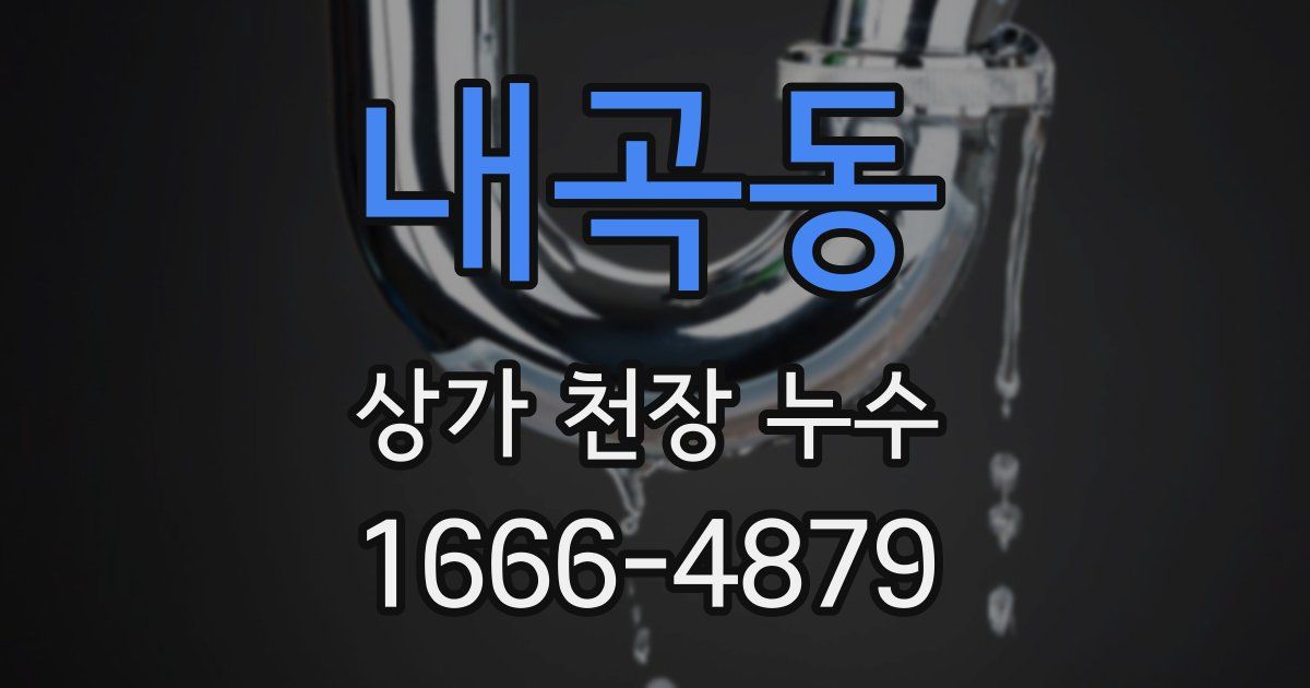 내곡동 상가 천장 누수