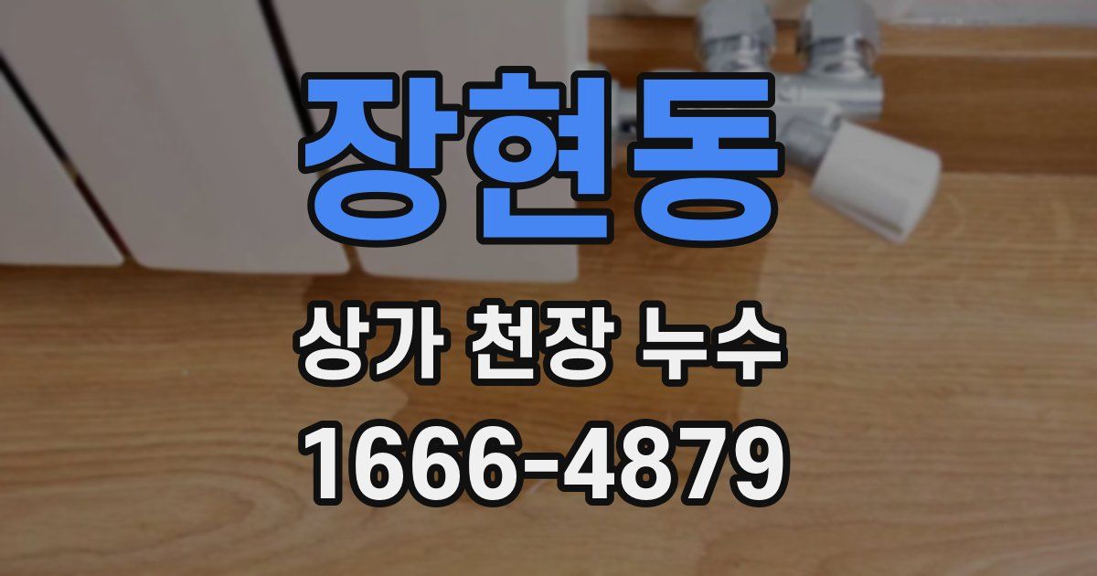 장현동 상가 천장 누수