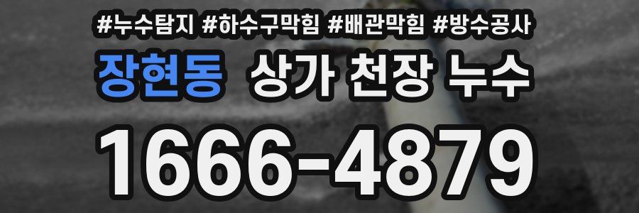 장현동 상가 천장 누수