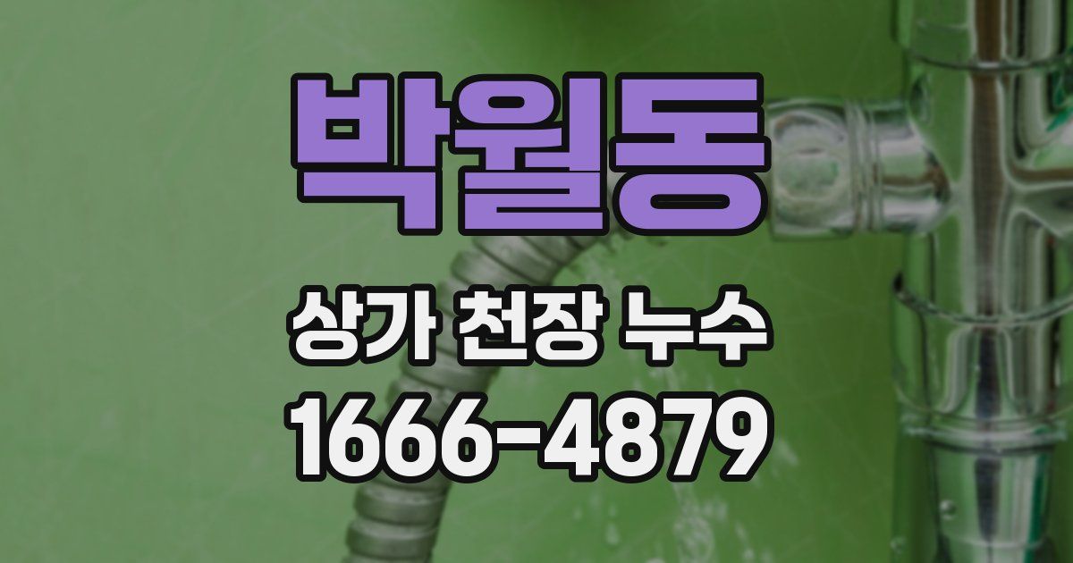 박월동 상가 천장 누수
