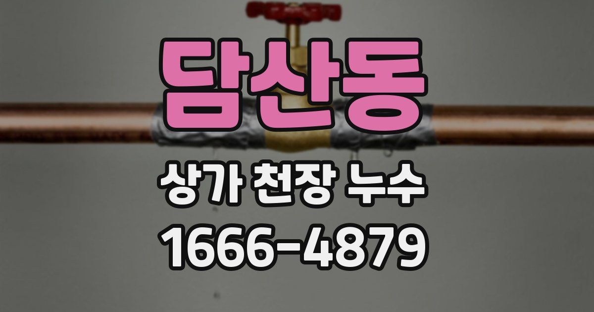 담산동 상가 천장 누수
