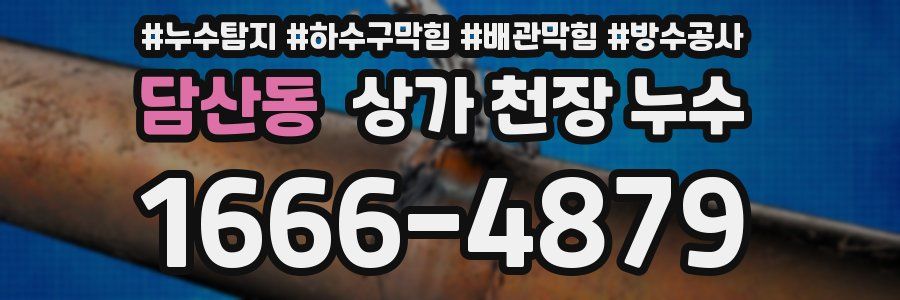 담산동 상가 천장 누수