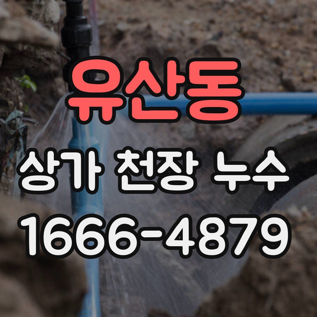 유산동 상가 천장 누수
