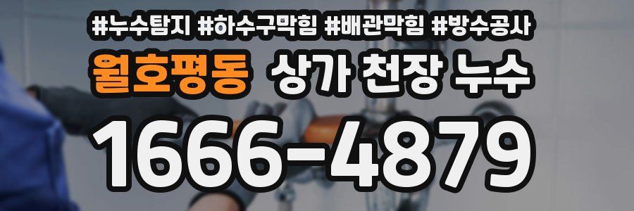 월호평동 상가 천장 누수