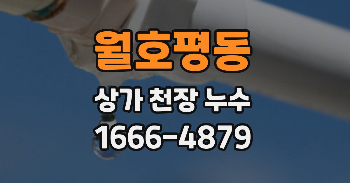 월호평동 상가 천장 누수