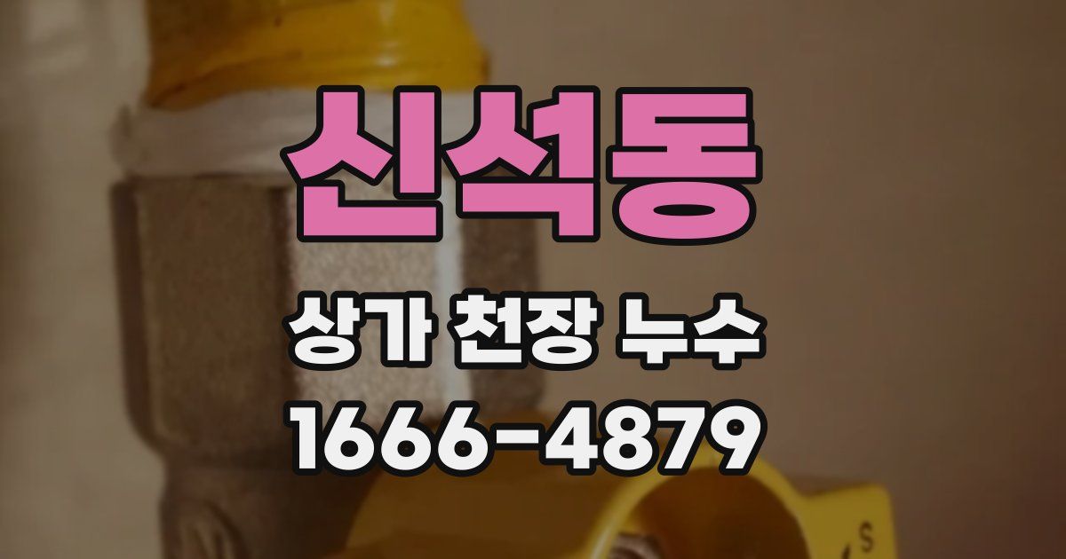 신석동 상가 천장 누수