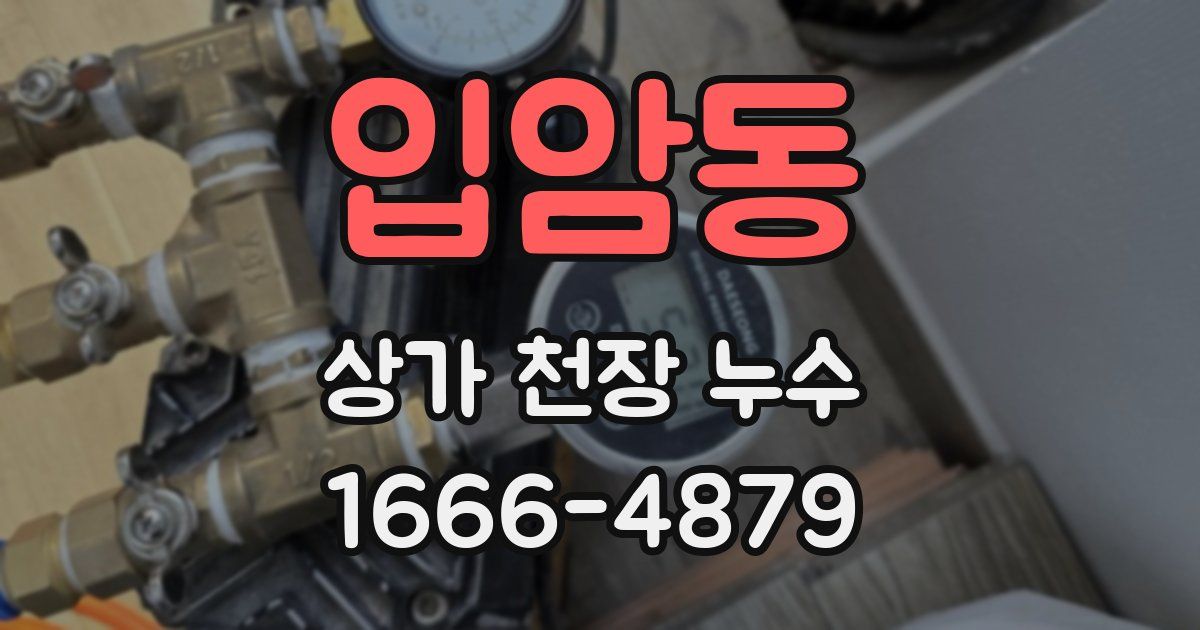입암동 상가 천장 누수