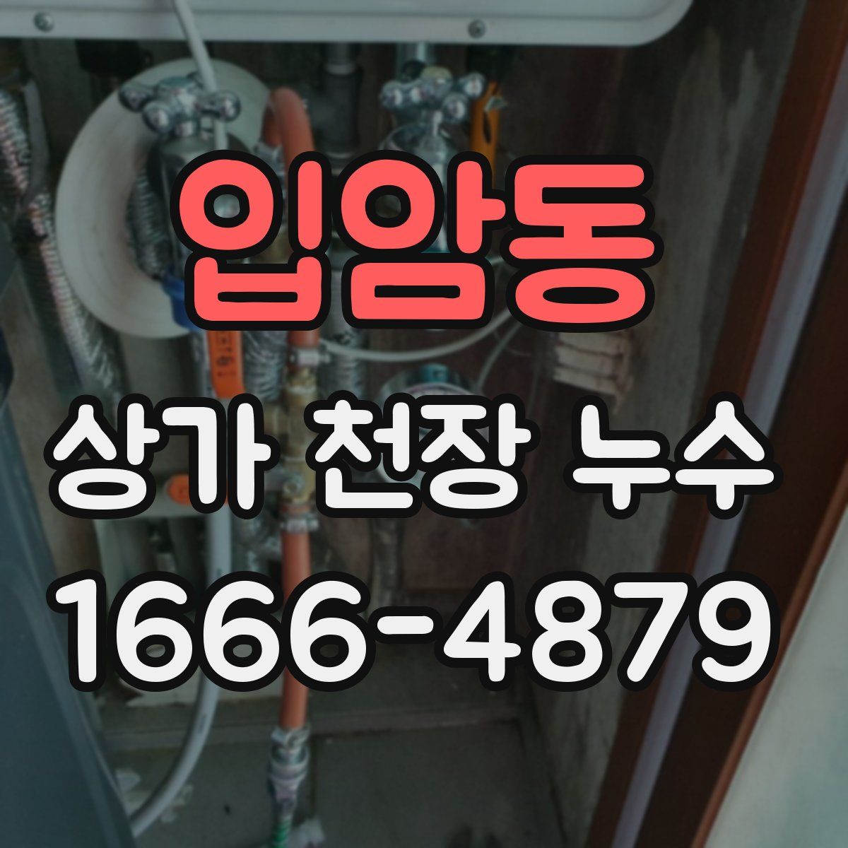 입암동 상가 천장 누수